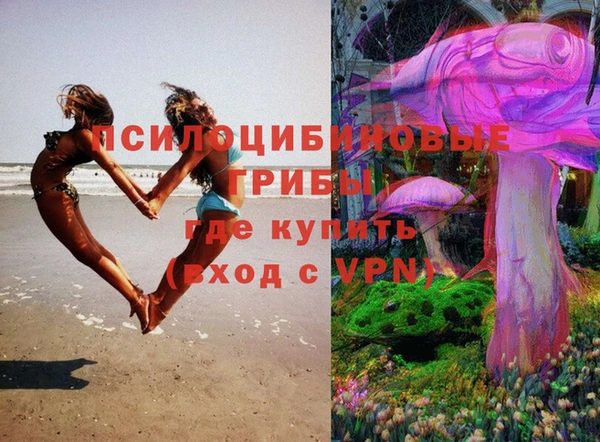 гашик Касимов