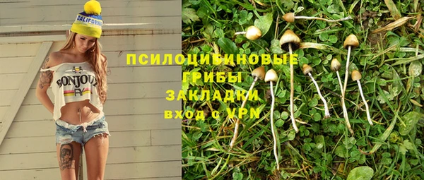 прущая мука Кинешма