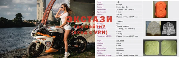 гашик Новозыбков