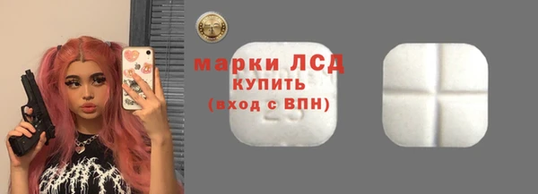 гашик Новозыбков