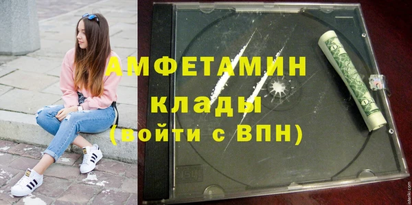 гашик Новозыбков