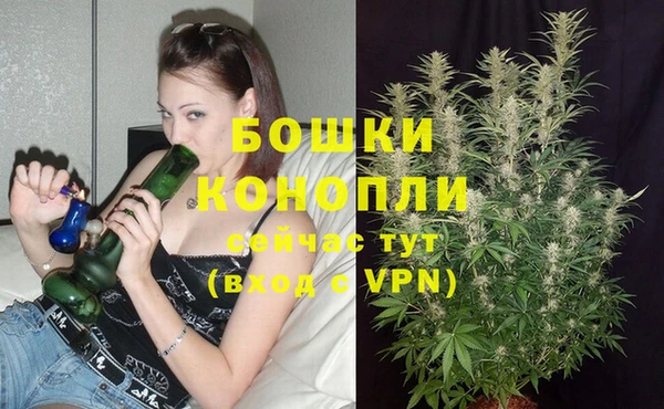 молекула духа Новодвинск