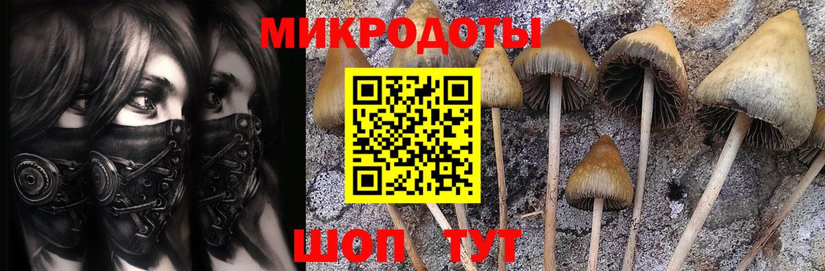 Коркино  как найти   Вход с VPN  Галлюциногенные грибы MAGIC MUSHROOMS 