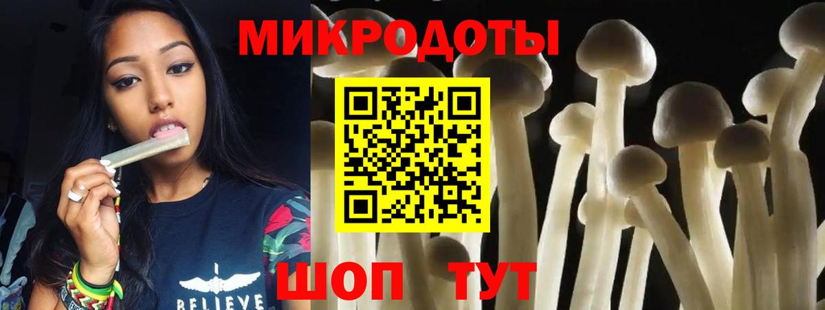 Галлюциногенные грибы Psilocybine cubensis Коркино